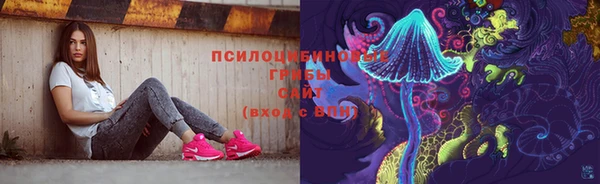 твердый Армянск