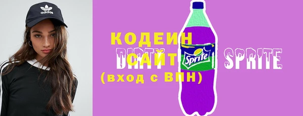 шишки Няндома