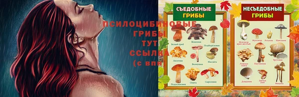 прущая мука Алексеевка