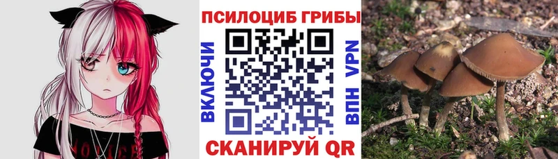 магазин продажи наркотиков  Усть-Катав  Галлюциногенные грибы Cubensis 